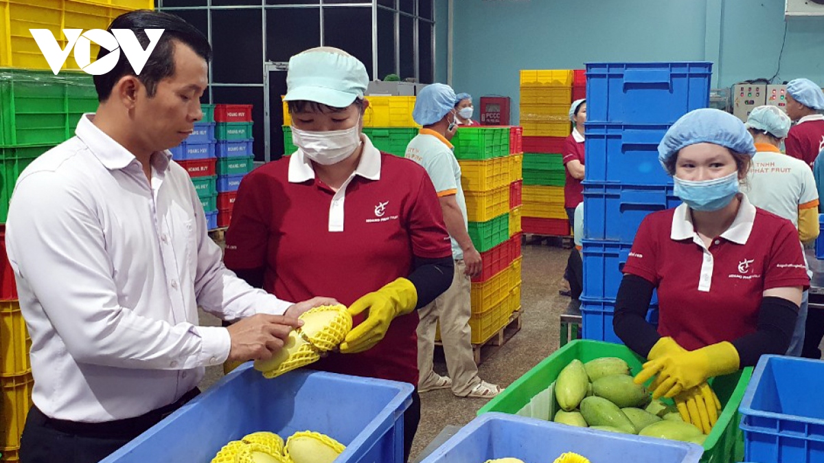 Giá sầu riêng hơn 100.000 đồng/kg, kỳ vọng góp 3 tỷ USD doanh số xuất khẩu - Ảnh 1