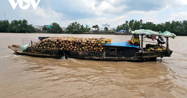 Giá nhiều loại trái cây ở Tiền Giang và Bến Tre tăng cao do thiếu nguồn cung