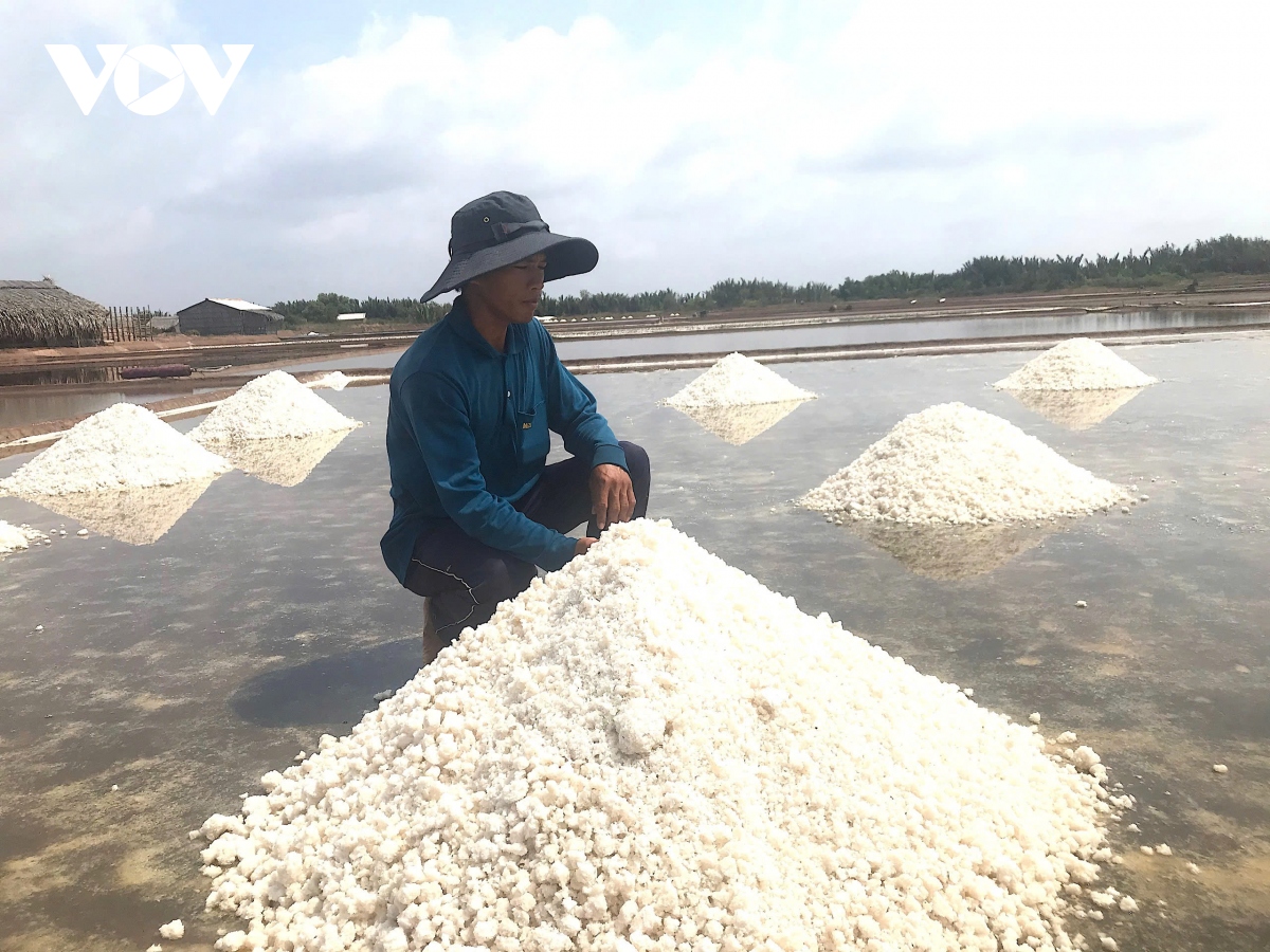 Giá muối thương phẩm sụt giảm diêm dân Bến Tre thất thu - Ảnh 1