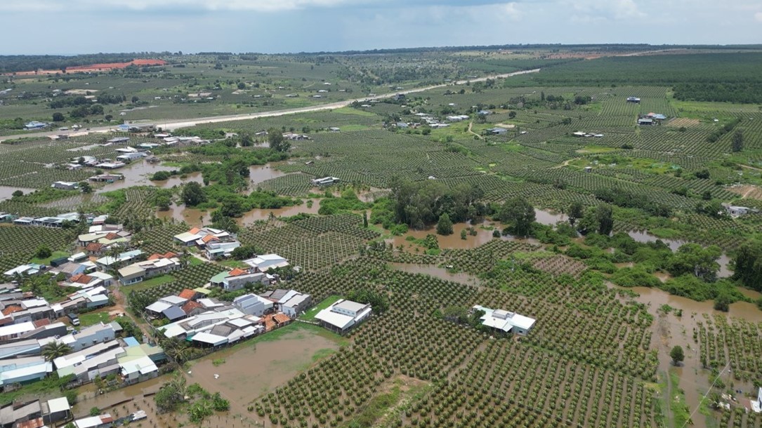 "Thủ phủ thanh long" Bình Thuận ngập nặng sau cơn mưa lớn - Ảnh 2