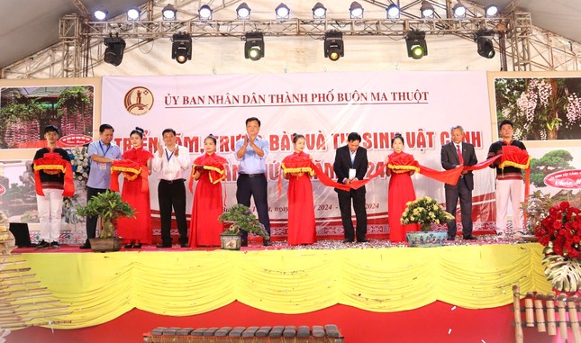 Tìm được loài lan quý hiếm nhờ… bị voi rừng đuổi - Ảnh 1