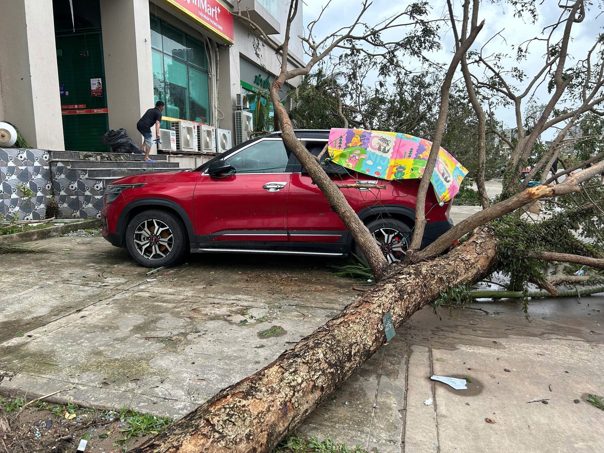 Ô tô bị hư hỏng do bão Yagi được bảo hiểm bồi thường ra sao? - Ảnh 1