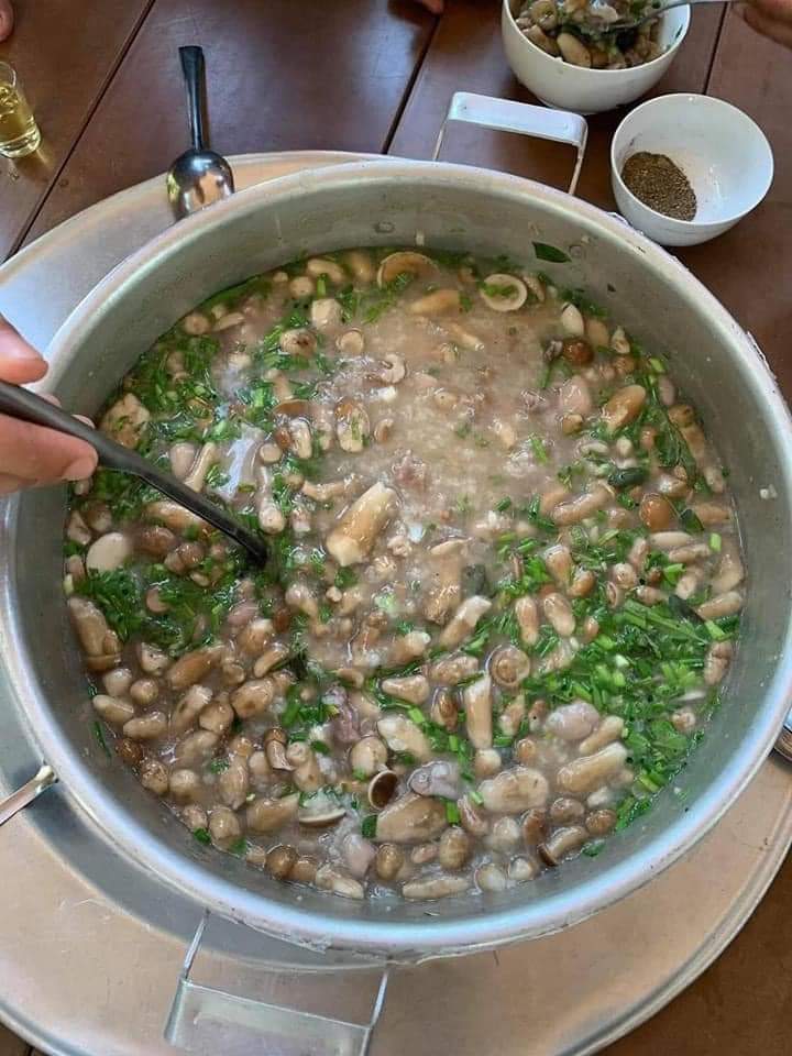 Thu tiền triệu nhờ đi hái thứ nấm… đắng ngắt, dân Quảng Bình ai cũng mê - Ảnh 5