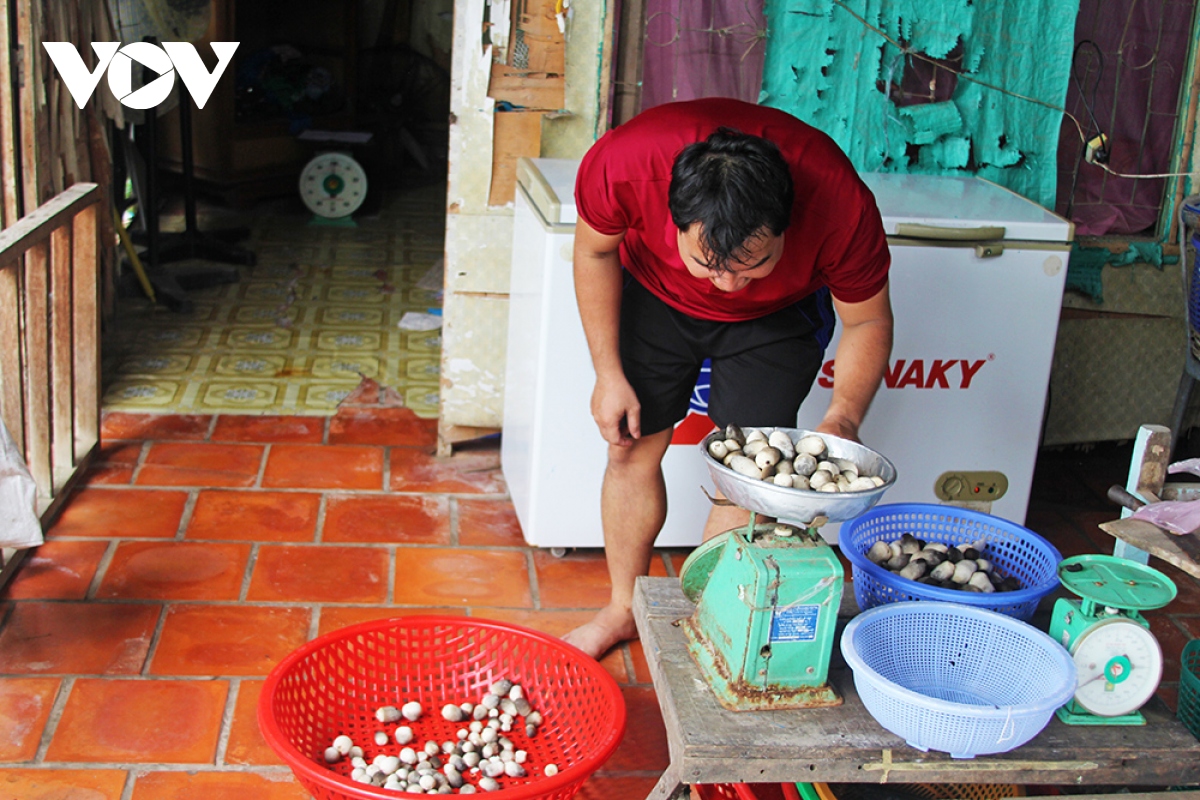 Người dân vùng đầu nguồn Đồng Tháp hốt bạc từ rơm rạ - Ảnh 12