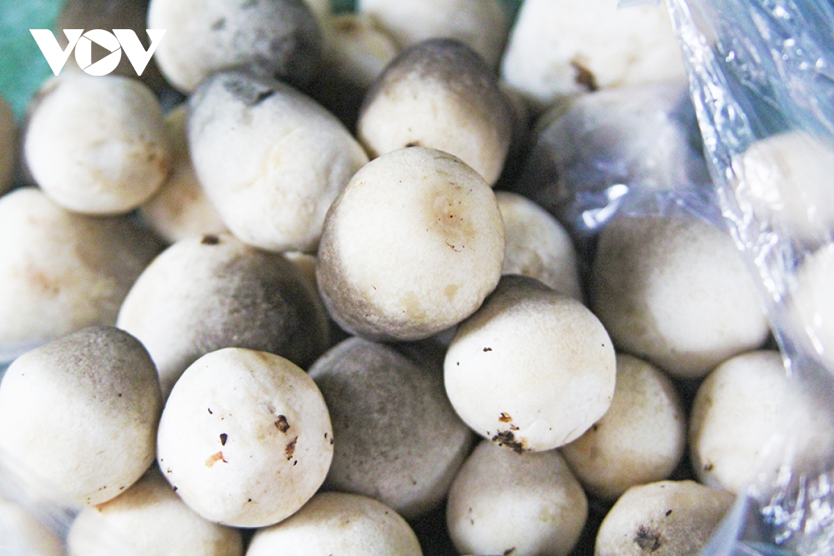 Người dân vùng đầu nguồn Đồng Tháp hốt bạc từ rơm rạ - Ảnh 14