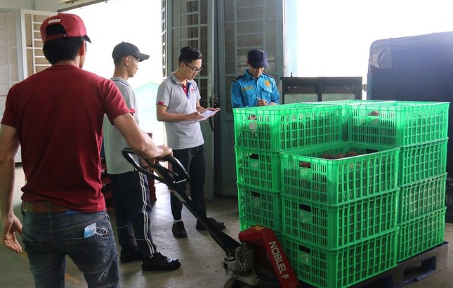 Rau củ, quả sẽ liên tục ra Bắc - Ảnh 2