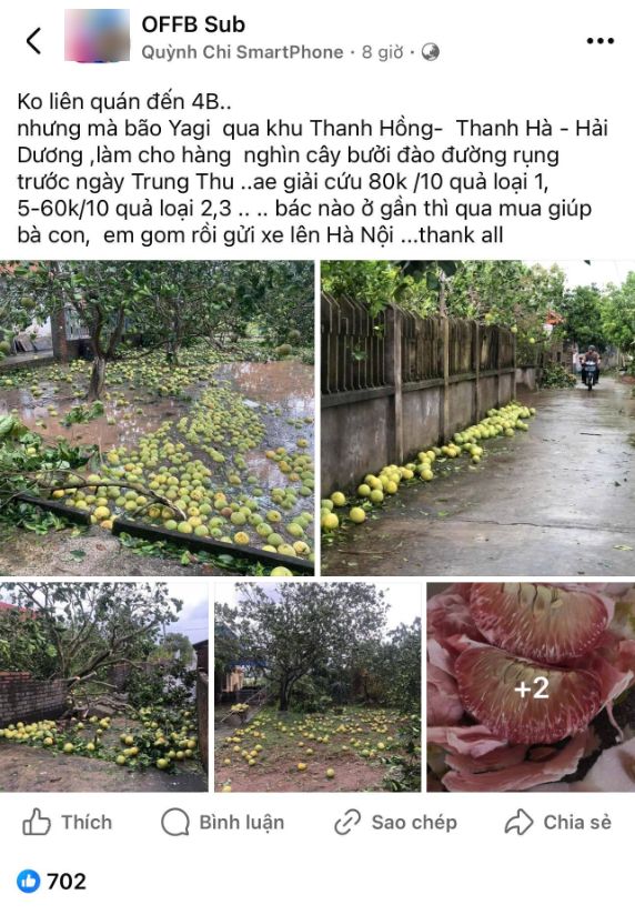 Dân tình khắp nơi kêu gọi giải cứu nông sản giúp đỡ bà con sau bão - Ảnh 5