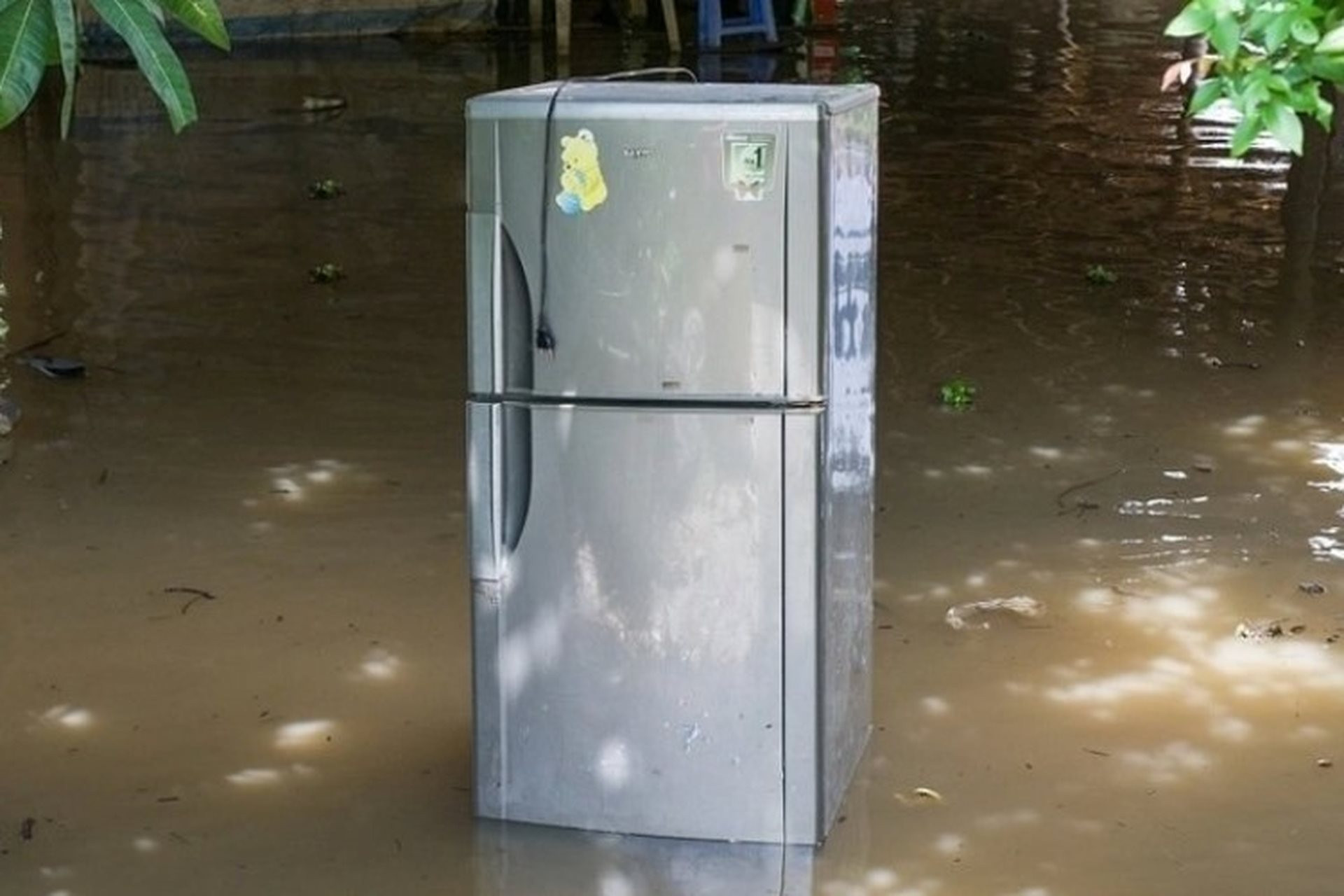 Tivi, tủ lạnh ngập nước sau bão Yagi, Samsung, Sony hỗ trợ gì cho người dân vùng lũ? - Ảnh 1