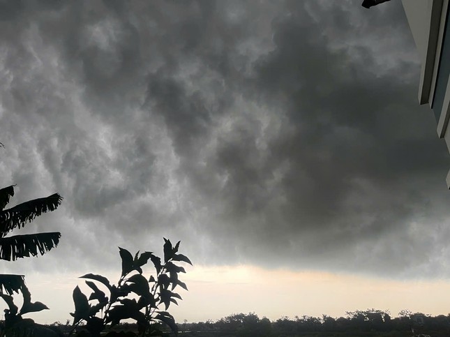 Người dân thu hoạch lúa xuyên đêm để tránh bão số 3 - Ảnh 3