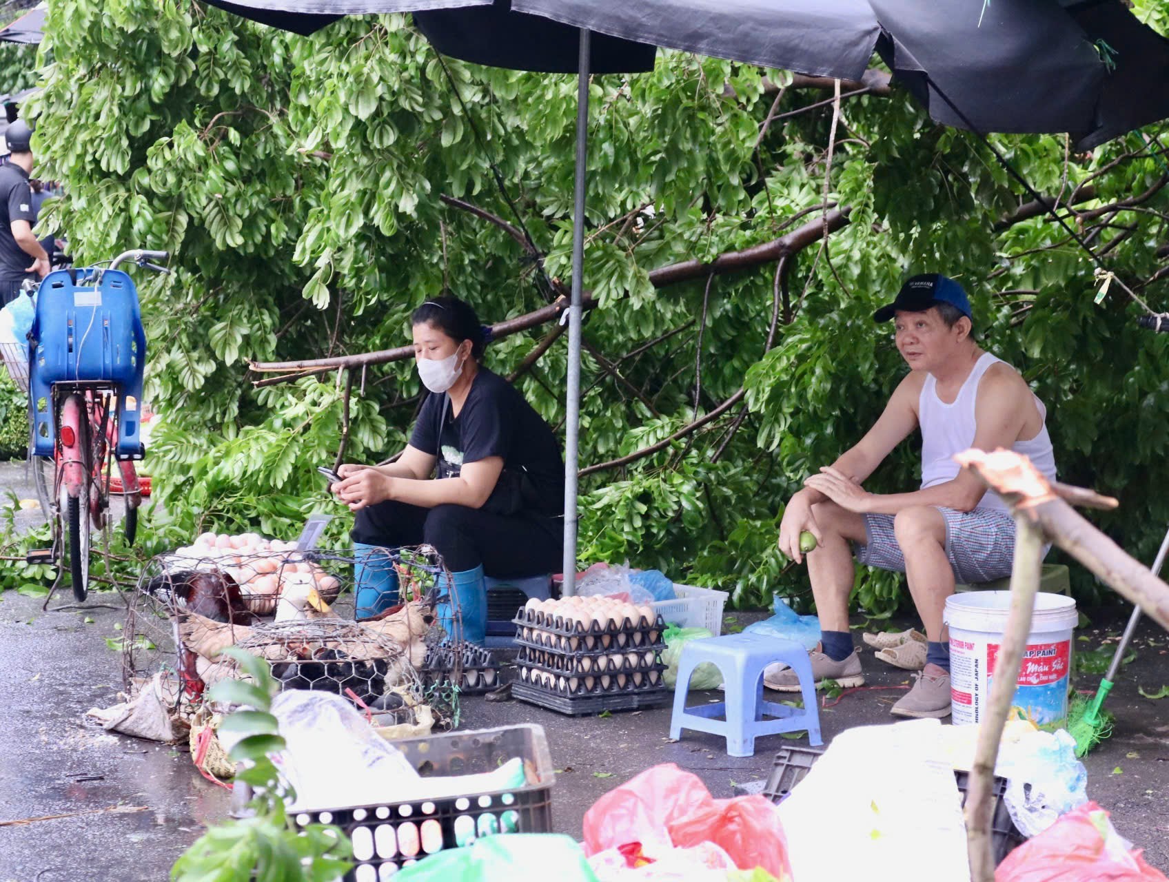 Chợ sớm sau bão: Vắng bóng tiểu thương, rau xanh tăng gấp rưỡi - Ảnh 9