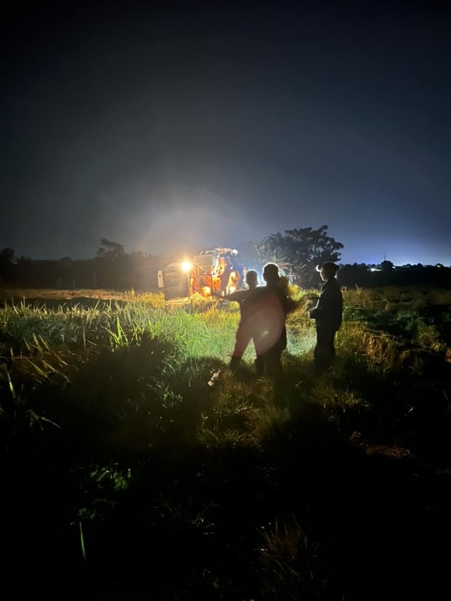 Người dân thu hoạch lúa xuyên đêm để tránh bão số 3 - Ảnh 1