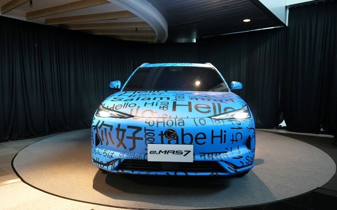 'Ôm' 2/3 thị phần xe xăng dung lượng 700.000 xe/năm, 2 thương hiệu nội địa Đông Nam Á quyết 'chơi tới bến' với BYD, Tesla - đánh cược vào xe điện giá rẻ - Ảnh 2