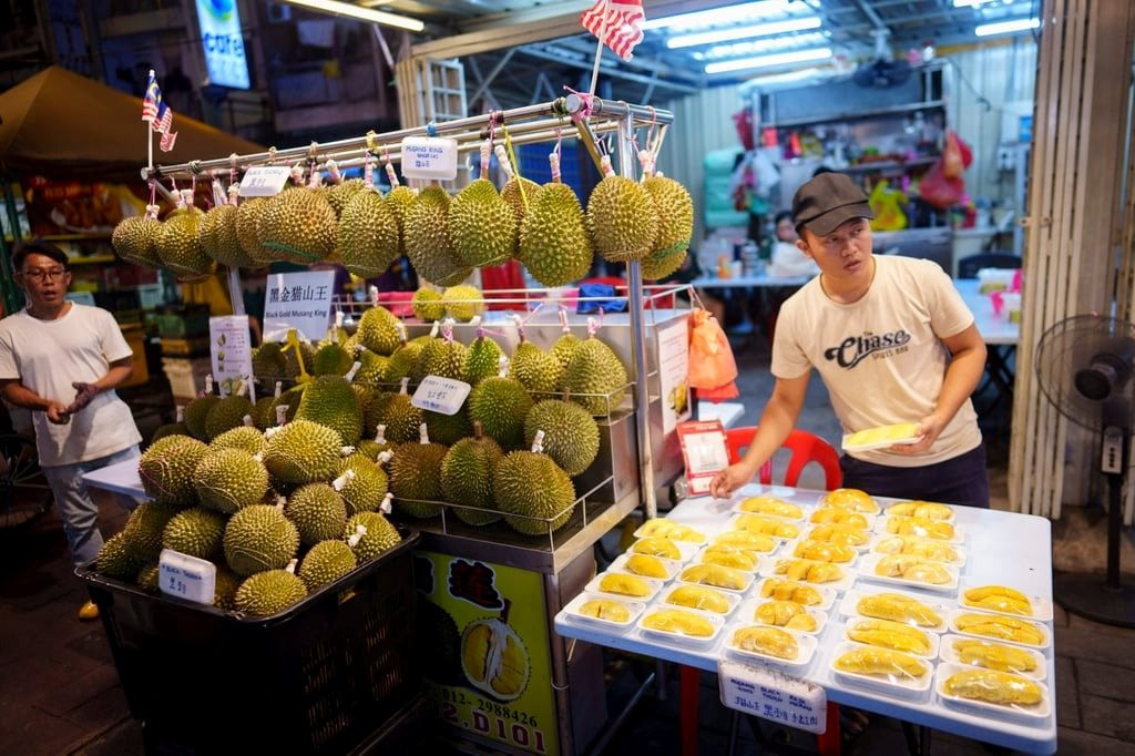 Chiều lòng khách Trung Quốc, nông dân ở quốc gia Đông Nam Á này muốn đổi vị cả giống sầu riêng 'vua' trứ danh - Ảnh 2