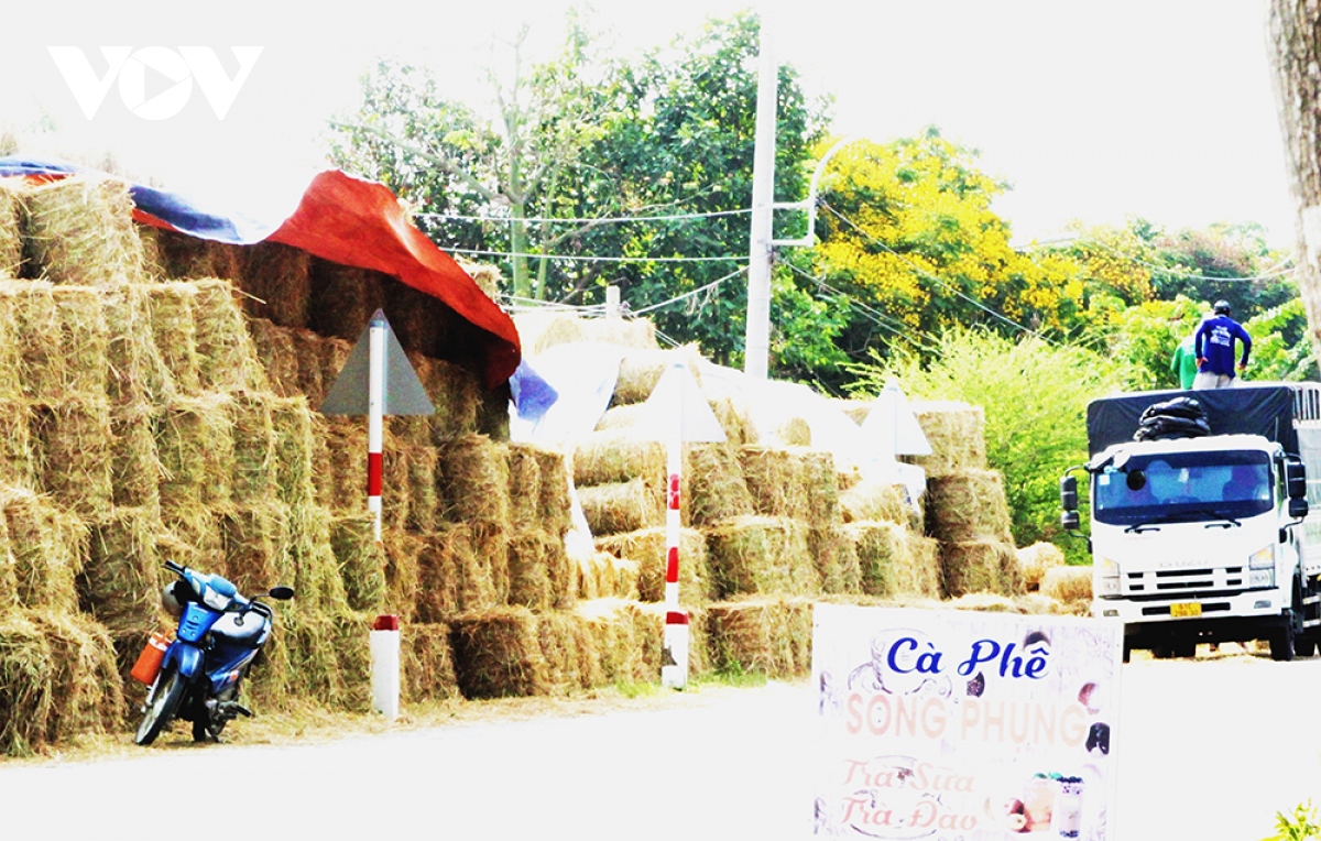 Người dân vùng đầu nguồn Đồng Tháp hốt bạc từ rơm rạ - Ảnh 8