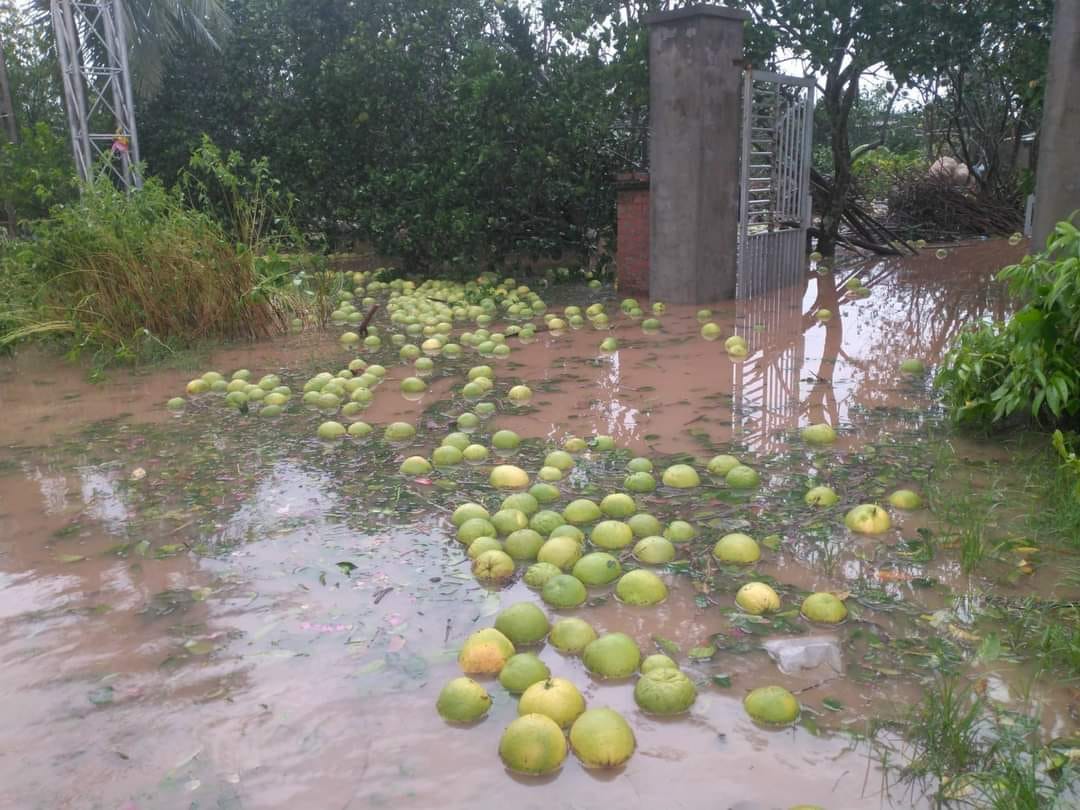 Dân tình khắp nơi kêu gọi giải cứu nông sản giúp đỡ bà con sau bão - Ảnh 6