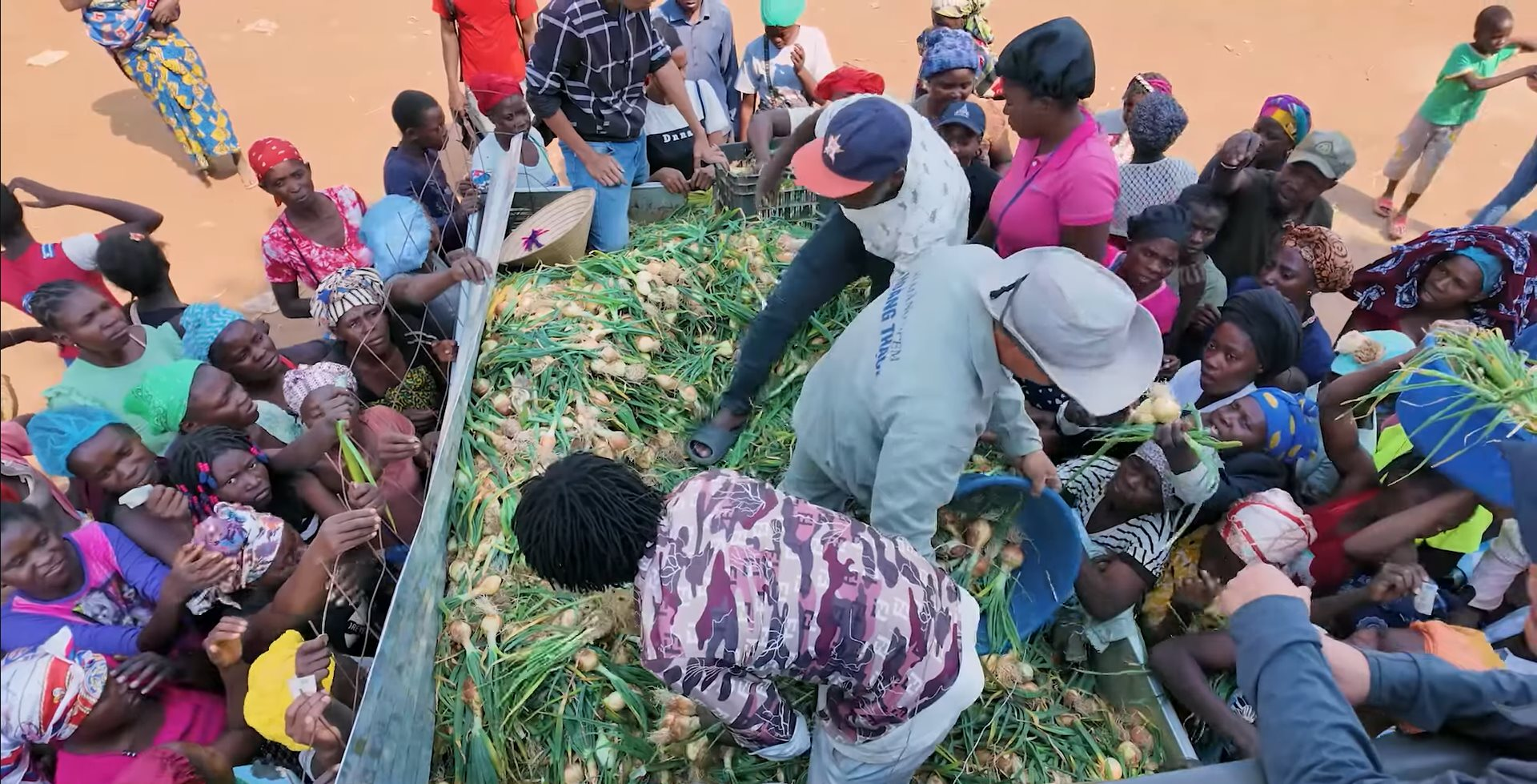 Loại củ bán đầy chợ Việt được team Quang Linh đem sang châu Phi trồng: người dân tranh mua như đặc sản, thu nhập siêu khủng - Ảnh 4