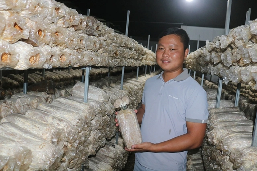 Anh nông dân trồng loại cây "không lá", bỏ túi 5 tỷ đồng/năm rất nhẹ nhàng - Ảnh 1