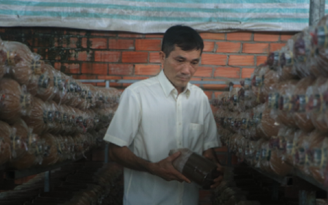 Anh nông dân trồng loại cây "không lá", bỏ túi 5 tỷ đồng/năm rất nhẹ nhàng - Ảnh 4