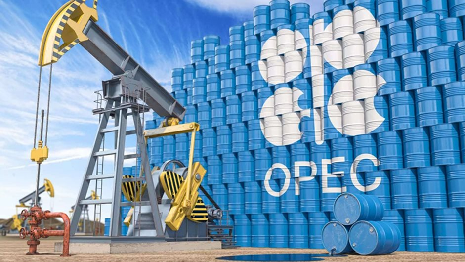 OPEC: 'Loại bỏ dầu mỏ là điều viển vông' - Ảnh 1