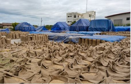 Báu vật 'nhà trồng được' của Ukraine đổ bộ Việt Nam tăng hơn 800%, nước ta chớp cơ hội vàng chi gần 200 triệu USD gom hàng giá rẻ - Ảnh 1