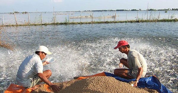 'Sản vật tỷ đô' của Việt Nam phục hồi đà tăng trưởng: Thu về hơn 6 tỷ USD, được Mỹ, Nhật Bản và Trung Quốc đua nhau thu mua