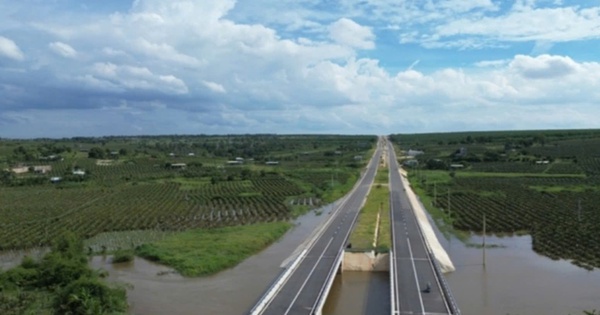 Bất ngờ nguyên nhân gây ngập hàng trăm hecta thanh long tại Bình Thuận