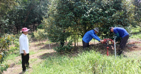 Ông nông dân trồng "loài cây quen thuộc" thu lãi nhẹ nhàng 2 tỷ đồng/năm