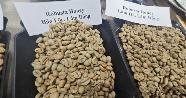 Giá cà phê Robusta tăng dữ dội chỉ sau một đêm