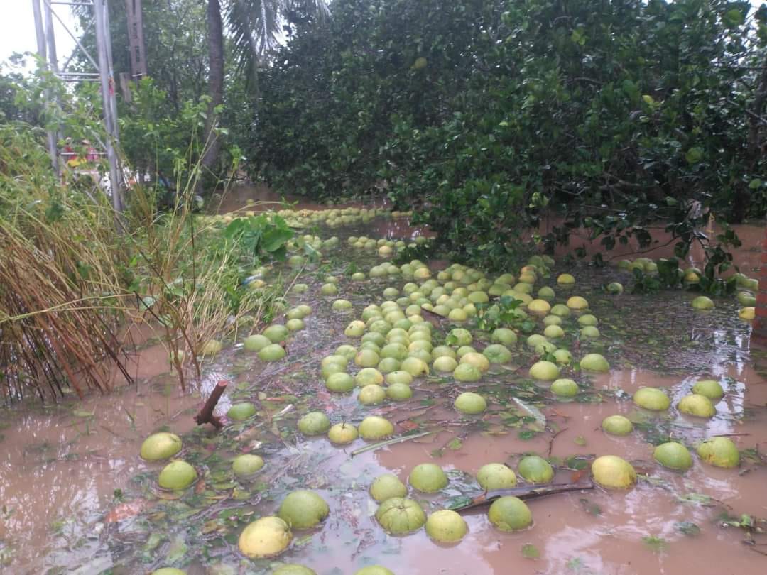 Dân tình khắp nơi kêu gọi giải cứu nông sản giúp đỡ bà con sau bão - Ảnh 7