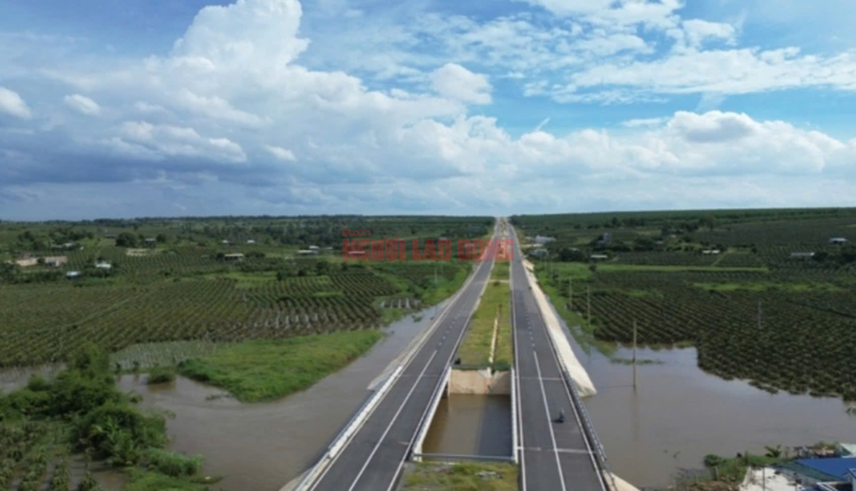 Bất ngờ nguyên nhân gây ngập hàng trăm hecta thanh long tại Bình Thuận - Ảnh 2