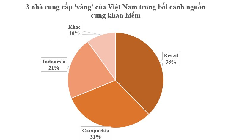 Cứu tinh từ Campuchia, Brazil đổ bộ giúp Việt Nam 'nắm trùm' cả thế giới: Chiếm giữ 60% thị phần toàn cầu, 120 quốc gia liên tục chốt đơn - Ảnh 2