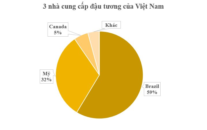 Không phải gạo hay lúa mì, 3 cường quốc của thế giới đua nhau đưa một loại hạt giá rẻ đến Việt Nam: Nhập khẩu tăng hơn 200% chỉ trong 1 tháng, nước ta nhập khẩu đứng thứ 3 toàn cầu - Ảnh 3