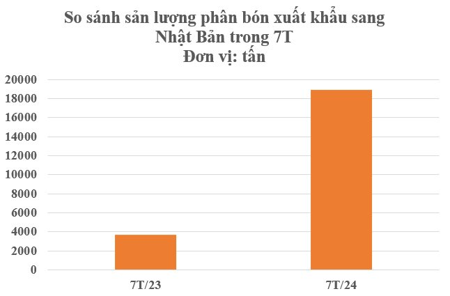 Xuất khẩu tăng hơn 400%, Nhật Bản bất ngờ mạnh tay săn lùng mặt hàng này của Việt Nam - Một động thái của Trung Quốc khiến nguồn cung toàn cầu chao đảo - Ảnh 3