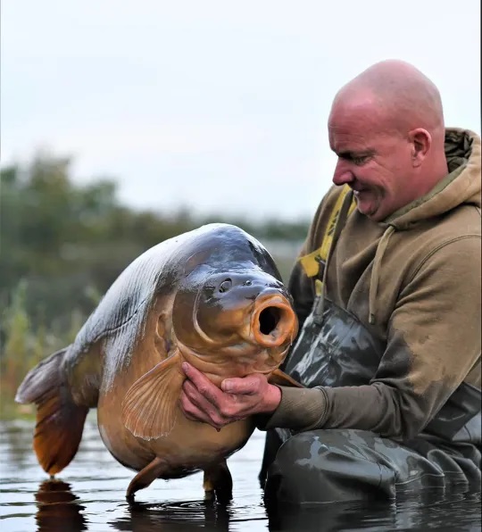 Người đàn ông câu được con cá chép khổng lồ nặng 34kg trong hồ - Ảnh 2