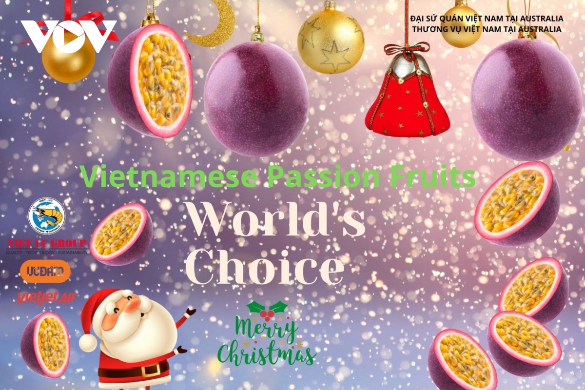 Australia - thị trường tiềm năng quả chanh leo tươi của Việt Nam - Ảnh 1