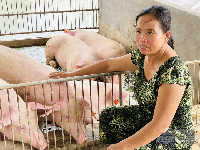 Chị nông dân nuôi con "hiền lành" ham ăn, lãi 1,5 tỷ đồng/năm rất nhẹ nhàng - Ảnh 1