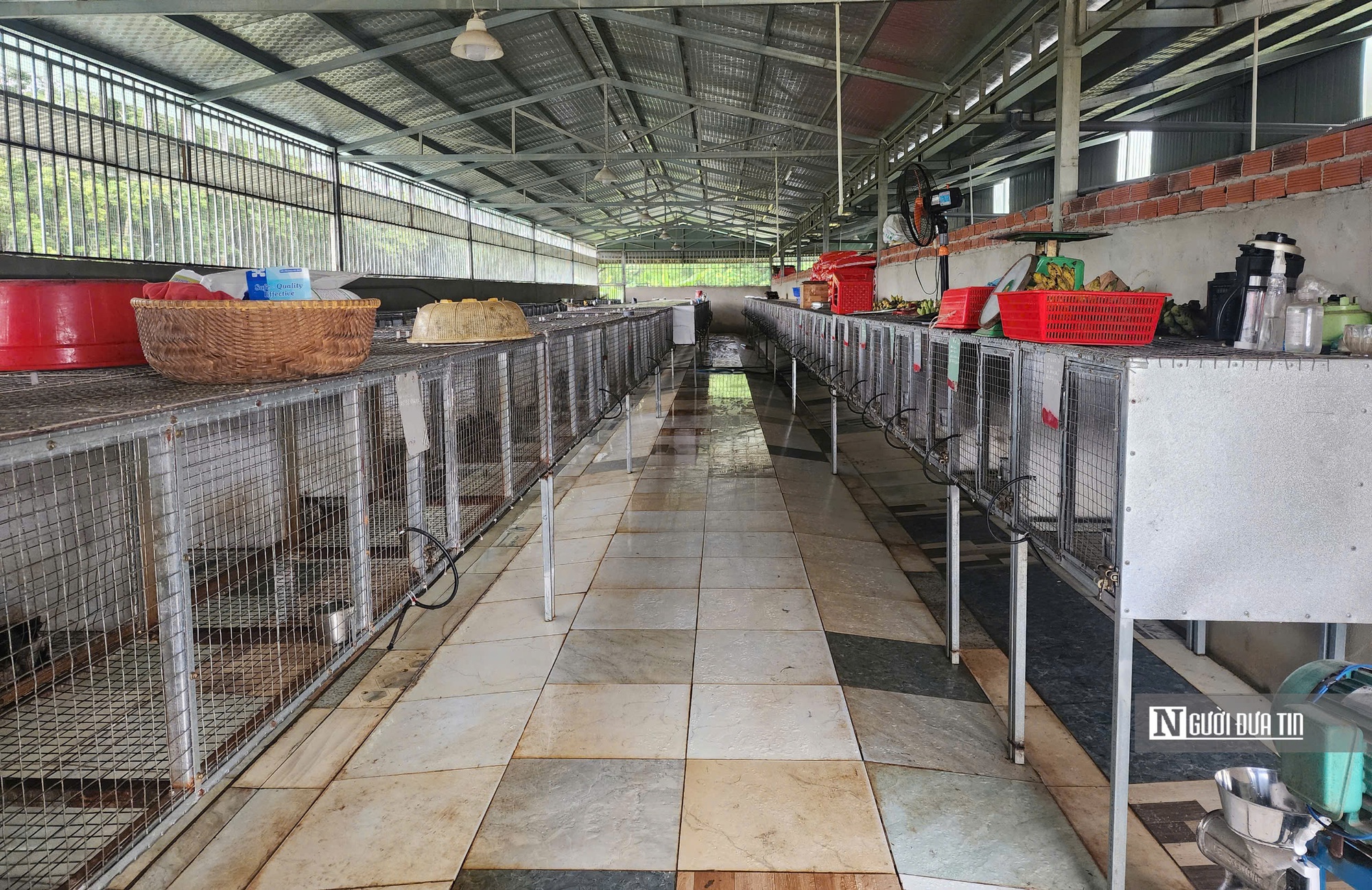 Nuôi con "ngủ ngày cày đêm", lão nông nhẹ nhàng "đút túi" tiền tỷ mỗi năm - Ảnh 3