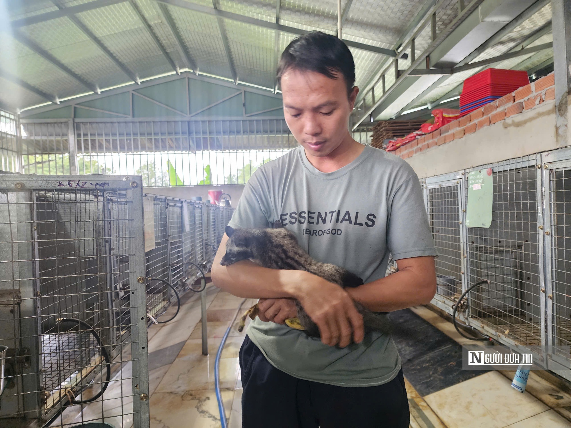 Nuôi con "ngủ ngày cày đêm", lão nông nhẹ nhàng "đút túi" tiền tỷ mỗi năm - Ảnh 6