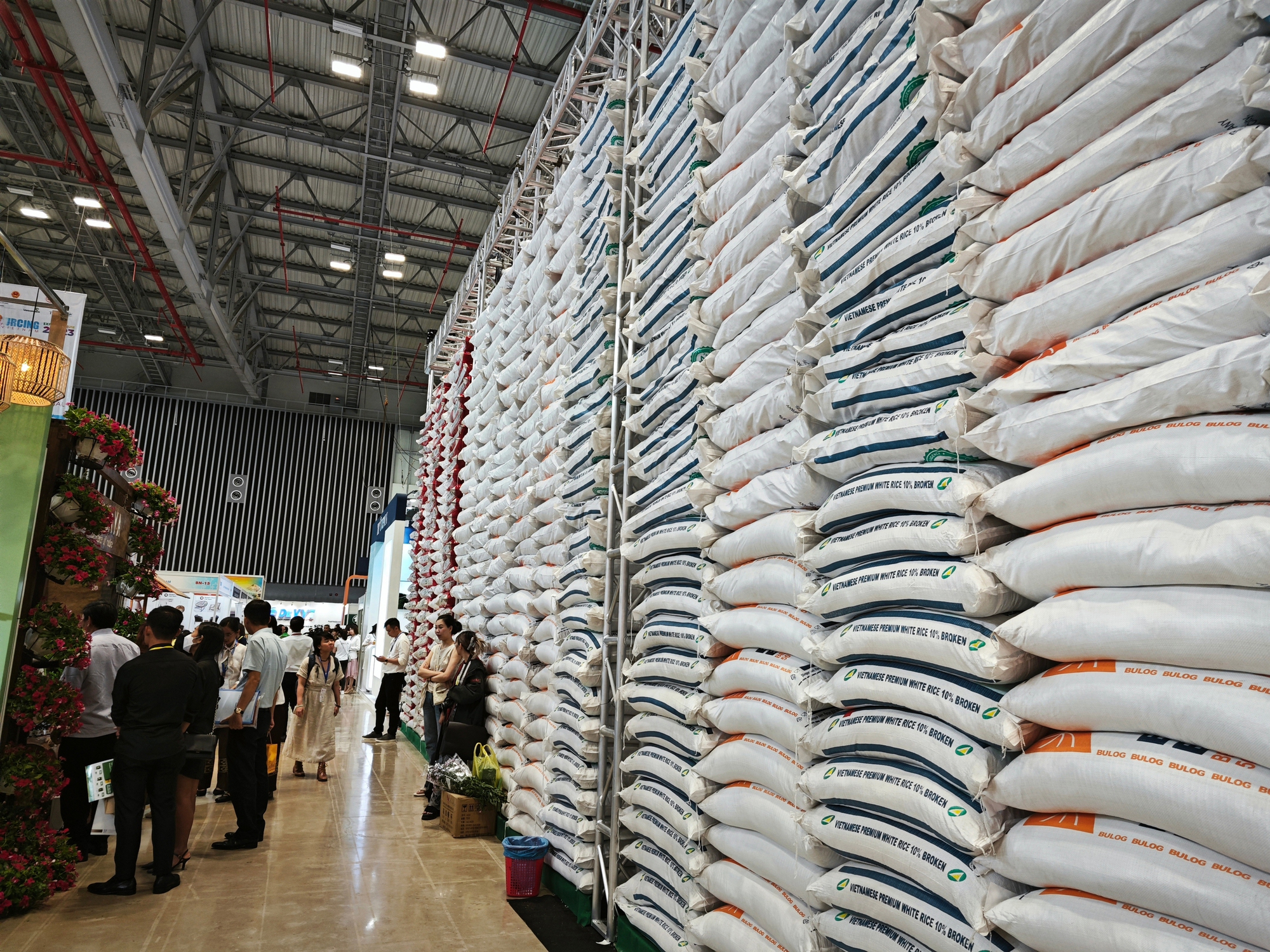 Cung cầu gạo Việt Nam ra sao sau bão? - Ảnh 1