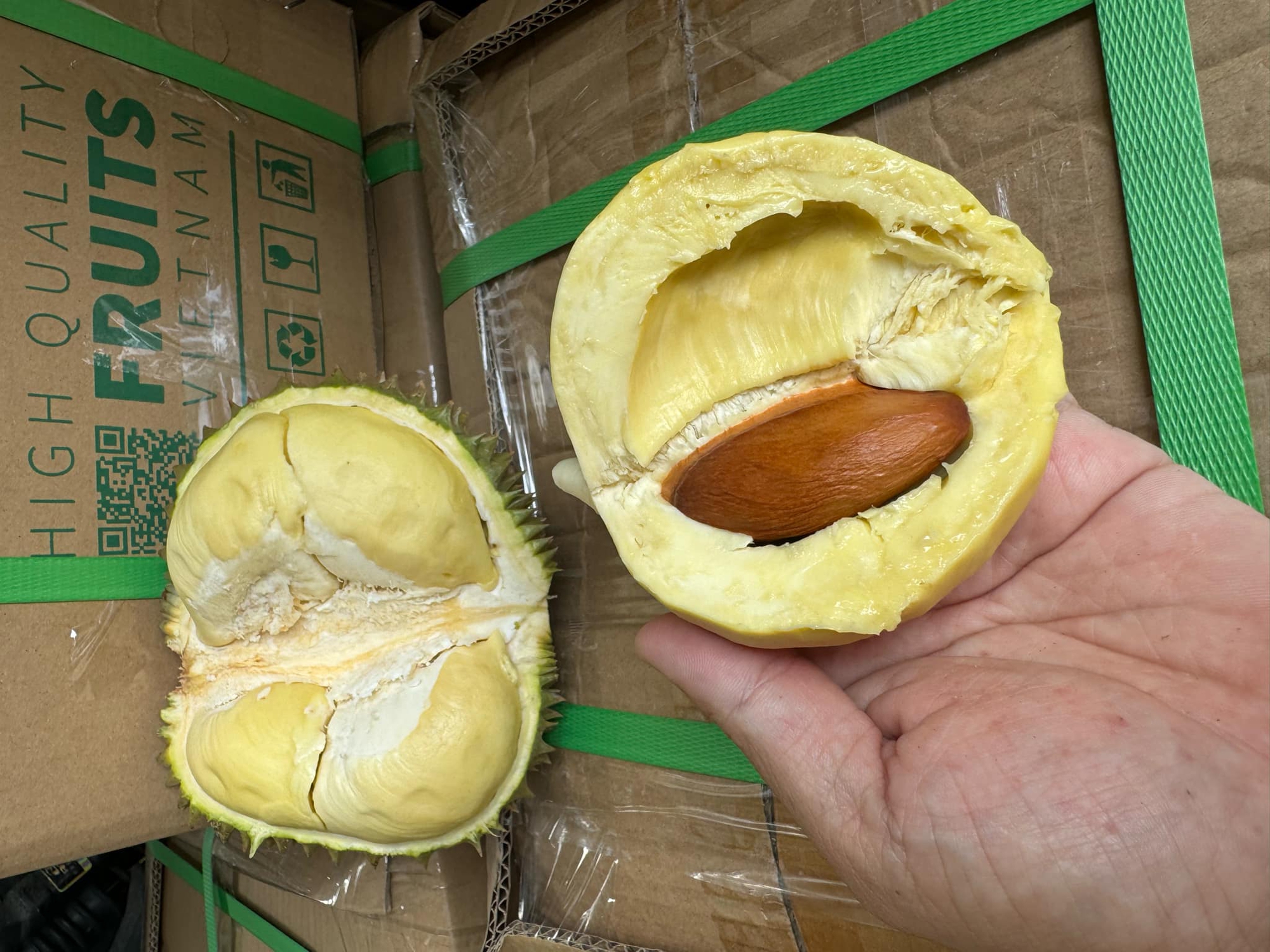 Loại sầu riêng chỉ bằng nắm tay nhưng hái tới đâu bán sạch tới đó - Ảnh 1