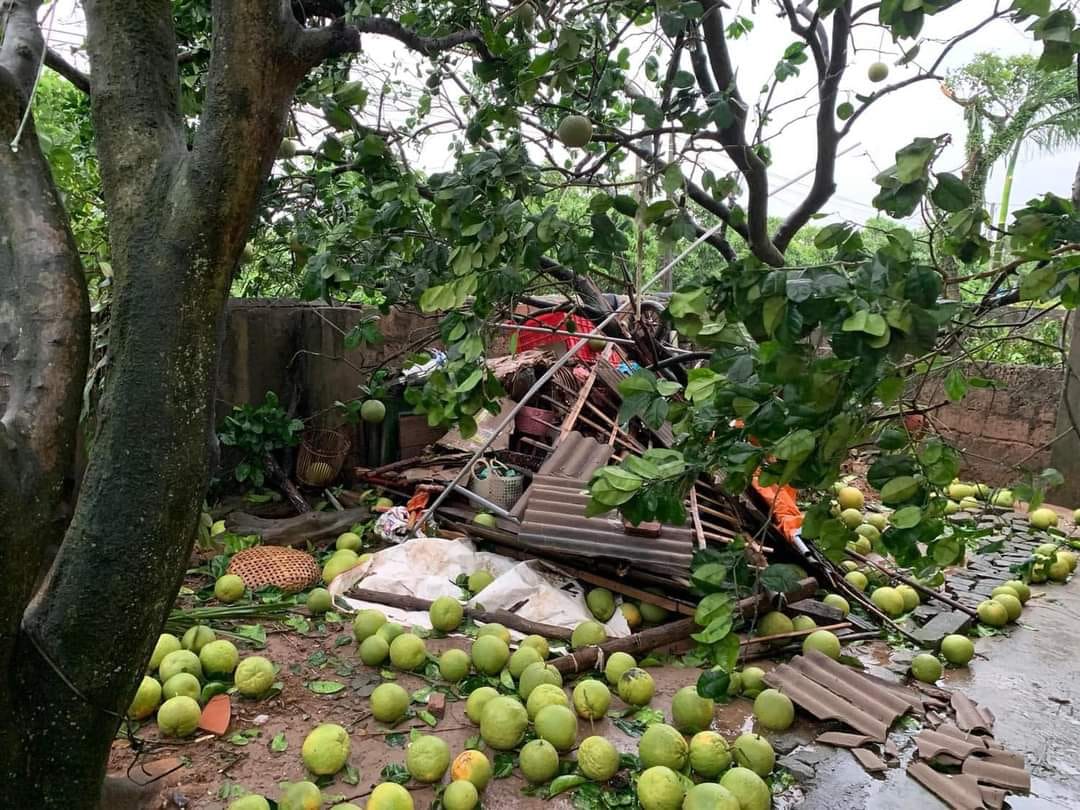 Dân tình khắp nơi kêu gọi giải cứu nông sản giúp đỡ bà con sau bão - Ảnh 8