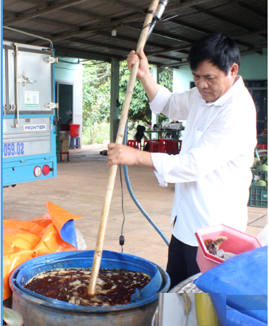 Ông nông dân trồng "loài cây quen thuộc" thu lãi nhẹ nhàng 2 tỷ đồng/năm - Ảnh 2