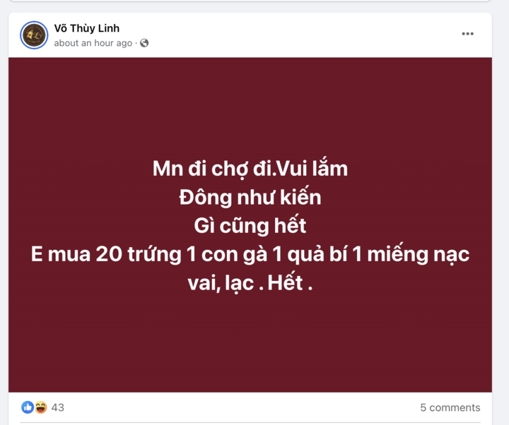 Người Hà Nội sục sôi tích thực phẩm trước siêu bão Yagi, nhiều chợ hết sạch đồ - Ảnh 6