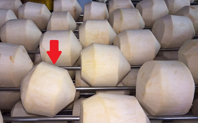 Việt Nam có loại quả mà Trung Quốc cần tới 4 tỷ quả mỗi năm, nhưng chỉ 1 sai sót này hàng sẽ bị “trả về” - Ảnh 1