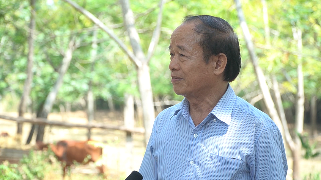 Ông nông dân nuôi bò theo kiểu “chẳng giống ai”, thu 10 tỷ đồng/năm rất nhẹ nhàng - Ảnh 2