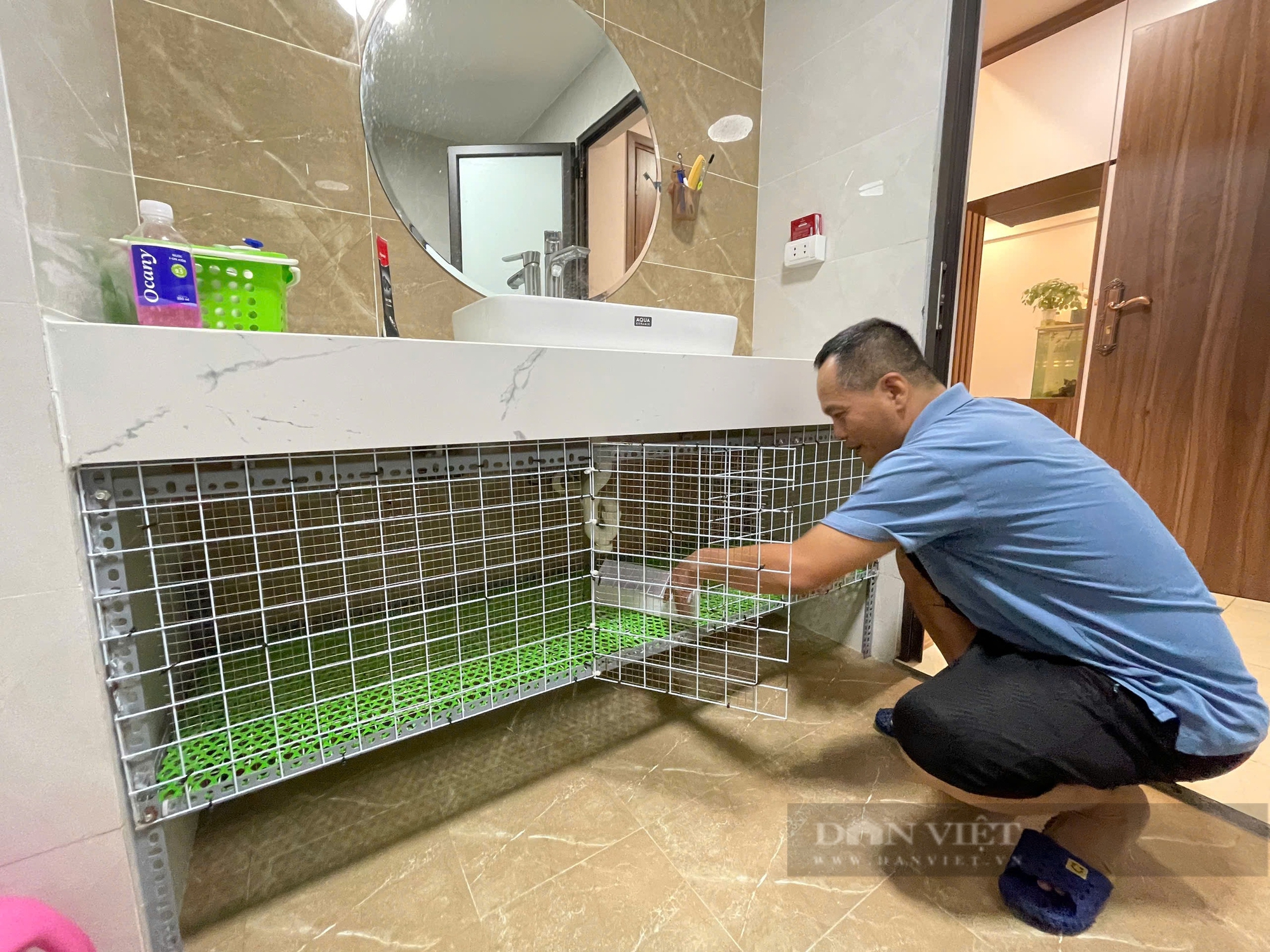 Nuôi "gà nhỏ nhất thế giới", người đàn ông bán được cả nghìn con mỗi tháng - Ảnh 1