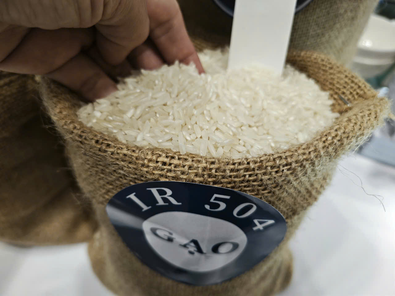 Nóng: Ấn Độ gỡ bỏ toàn bộ lệnh cấm xuất khẩu gạo - Ảnh 1
