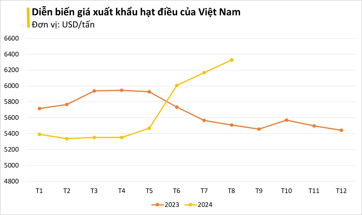 Không phải gạo, loại 'hạt vàng' này của Việt Nam được gần 1/2 thế giới chốt đơn: Mỹ, Trung Quốc mạnh tay săn lùng, giá lên đỉnh từ đầu năm - Ảnh 2