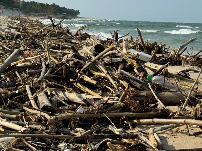 Hàng trăm hộp thuốc chống đột quỵ lẫn trong rác dạt vào bờ biển Quảng Bình - Ảnh 1