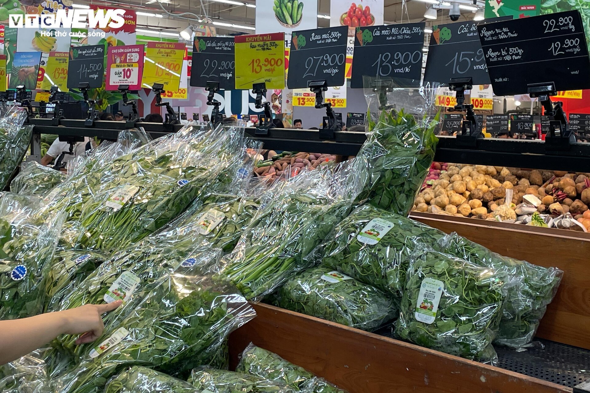 Cảnh người Hà Nội đổ xô đi siêu thị, mua đồ 'chạy bão' Yagi - Ảnh 6